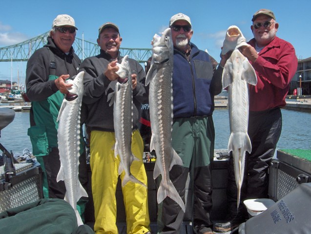 Fishing for sturgeon in Oregon