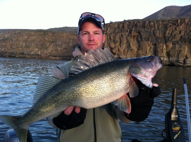 Walleye Fishing in Oregon and Washington